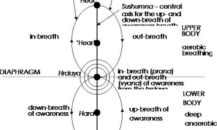 La verdadera historia de la Kundalini II