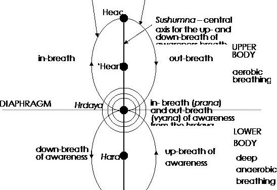 La verdadera historia de la Kundalini II