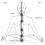 La verdadera historia de la Kundalini III